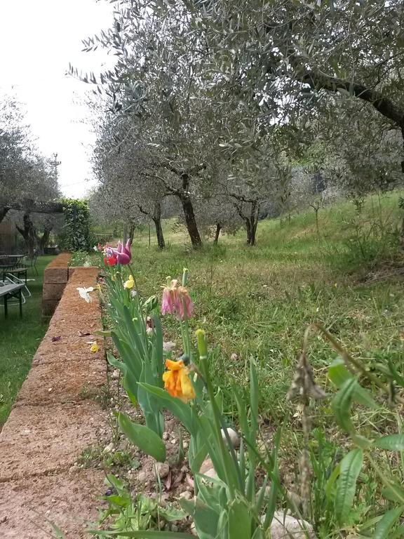 Agriturismo Camparella Pastrengo Exterior foto