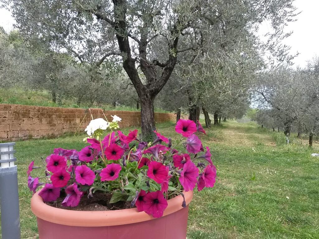 Agriturismo Camparella Pastrengo Exterior foto
